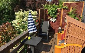 Ferienhaus an der Buche - 72952